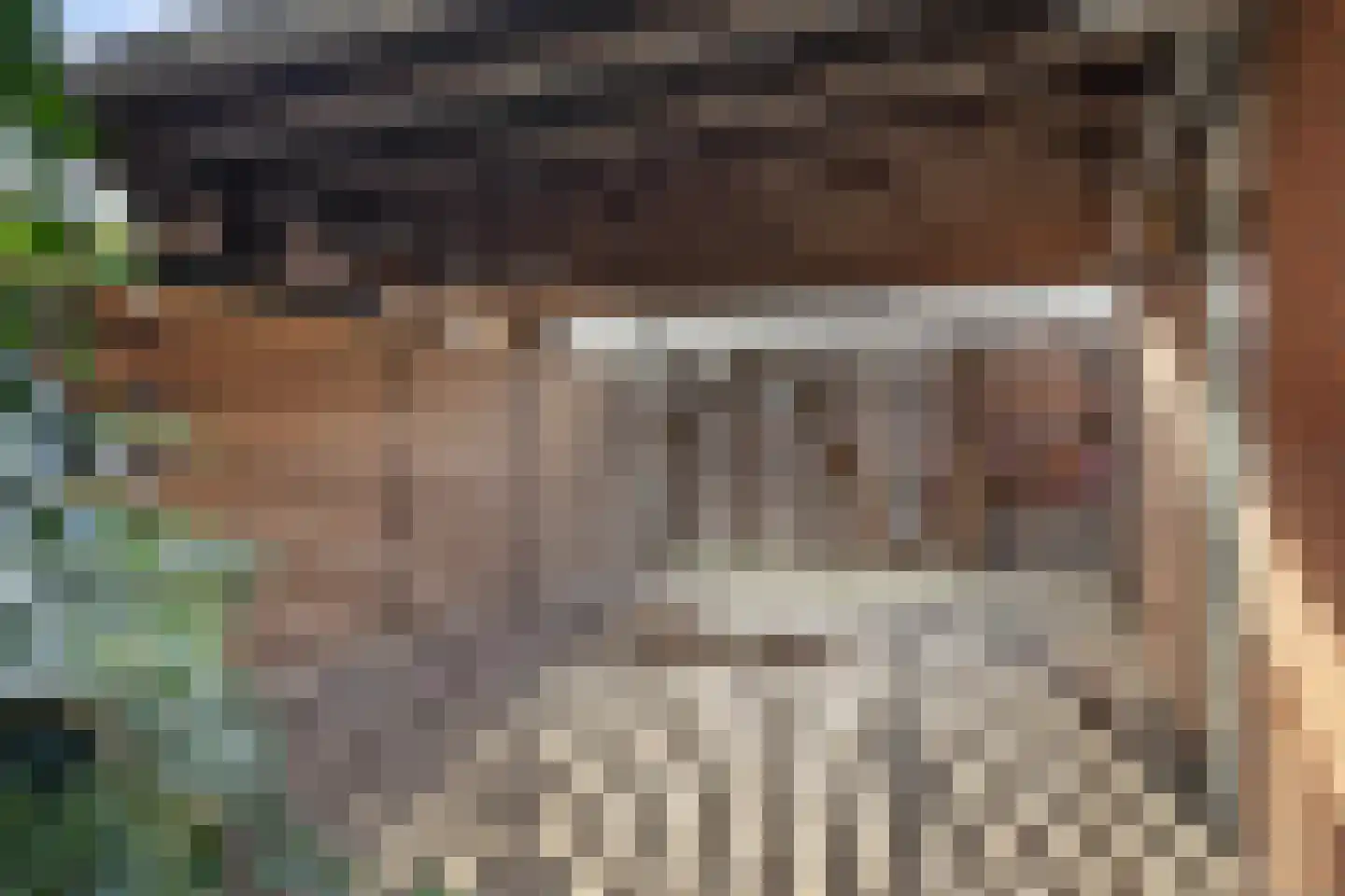 Valeriaanpad 2 Arnhem thumbnail 32