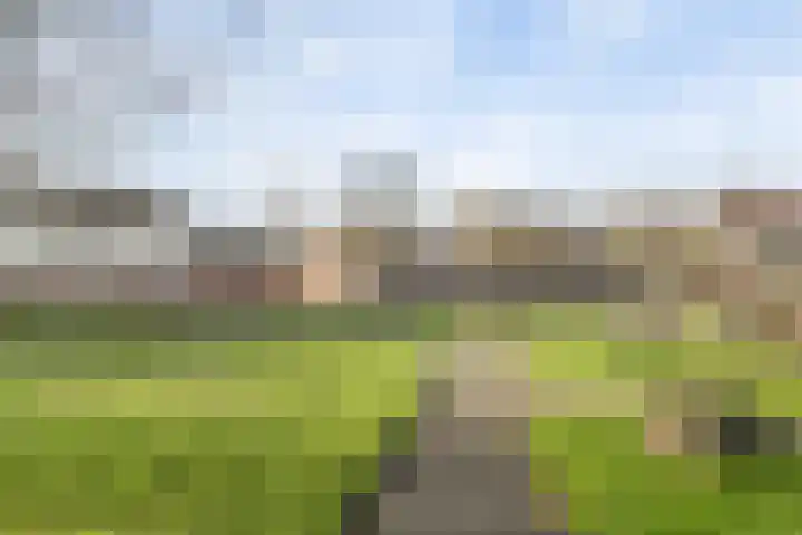 Valeriaanpad 2 Arnhem thumbnail 36