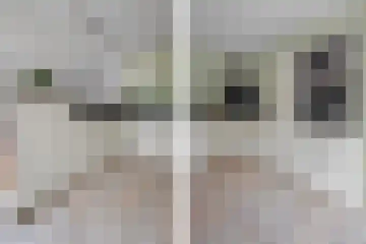 Valeriaanstraat 1 Sint-Michielsgestel thumbnail 12
