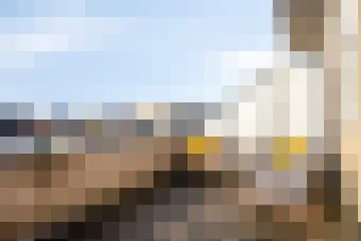 Valeriaanstraat 10 Heinkenszand thumbnail 30