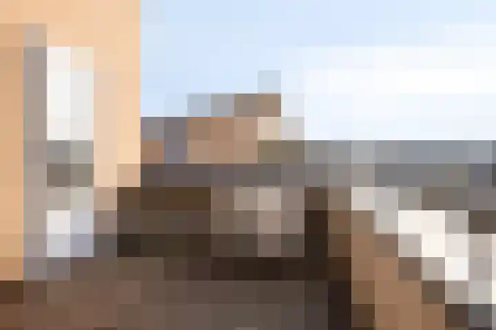 Valeriaanstraat 10 Heinkenszand thumbnail 31