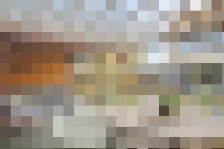 Valeriaanstraat 10 Heinkenszand thumbnail 36