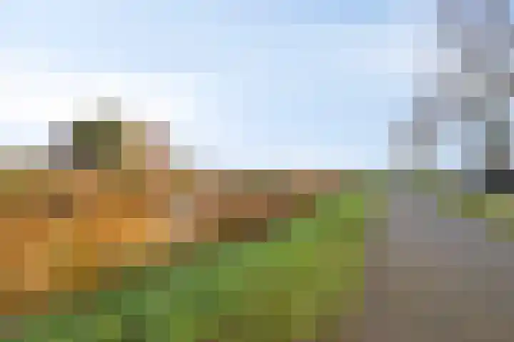Valeriaanstraat 10 Heinkenszand thumbnail 37