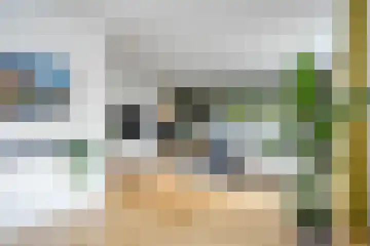 Valeriaanstraat 10 Heinkenszand thumbnail 5