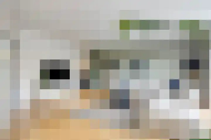 Valeriaanstraat 10 Heinkenszand thumbnail 7