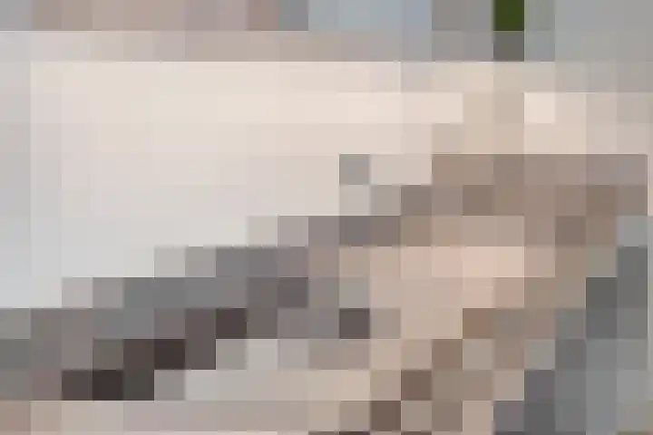 Valeriaanstraat 10 Heinkenszand thumbnail 8