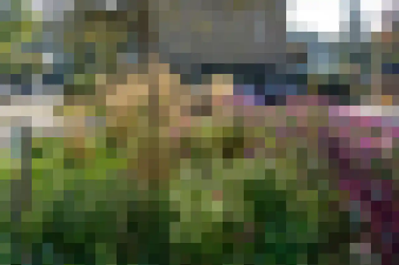 Valeriaanstraat 103 Soest thumbnail 31