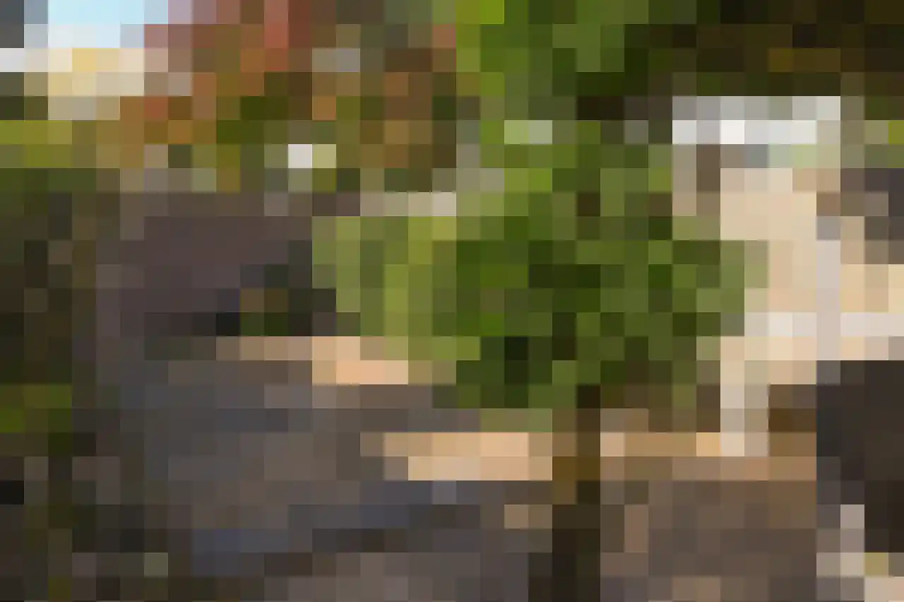 Valeriaanstraat 103 Soest thumbnail 6