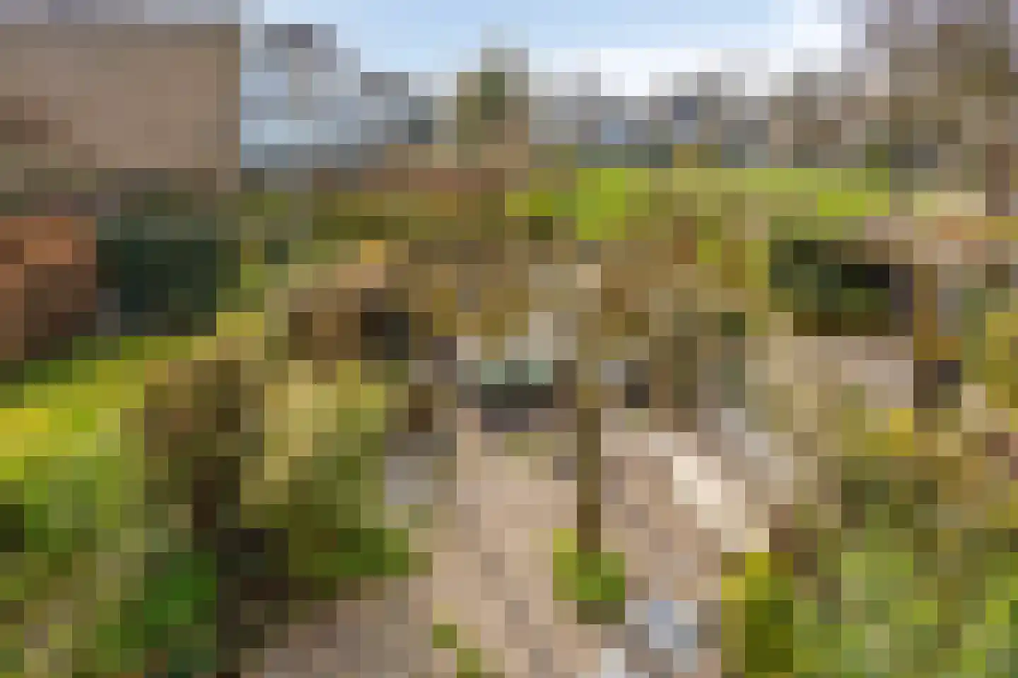 Valeriaanstraat 113 Soest thumbnail 19