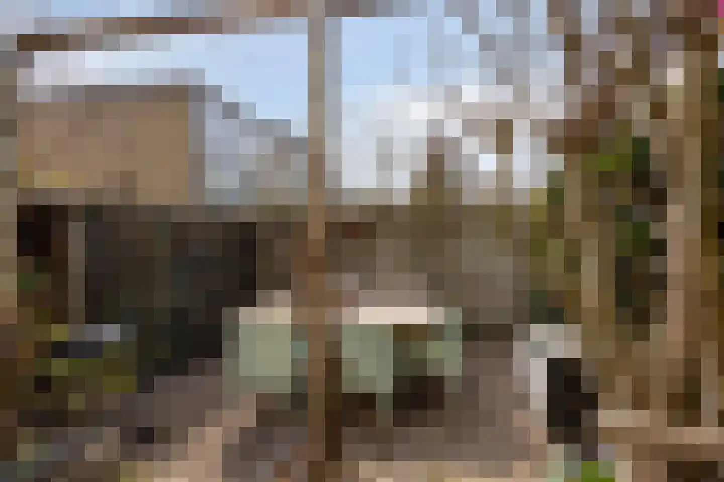 Valeriaanstraat 113 Soest thumbnail 34