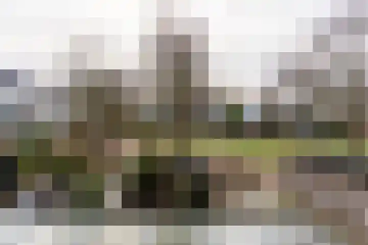 Valeriaanstraat 149 Soest thumbnail 12