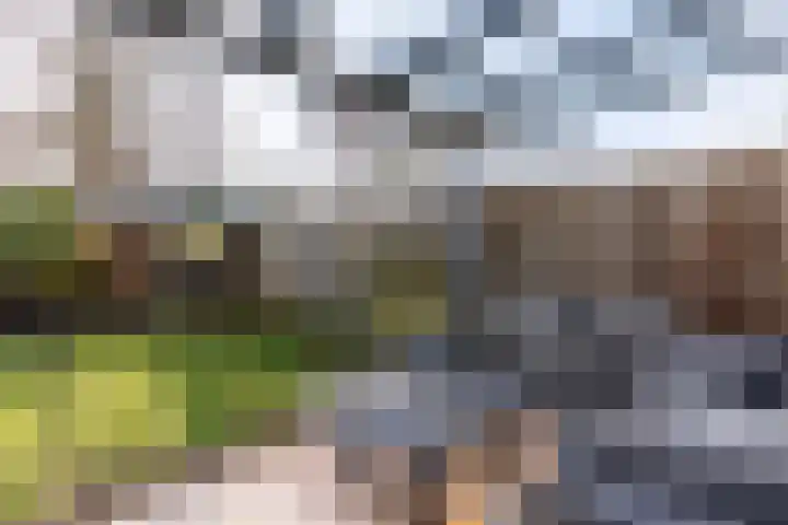 Valeriaanstraat 149 Soest thumbnail 22