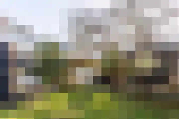 Valeriaanstraat 149 Soest thumbnail 24