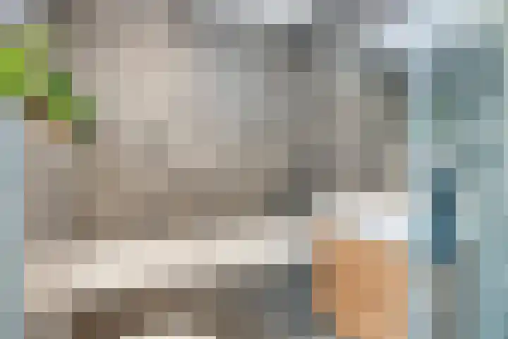 Valeriaanstraat 18 Heinkenszand thumbnail 23