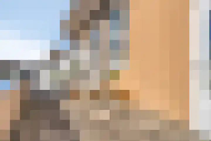 Valeriaanstraat 18 Heinkenszand thumbnail 31