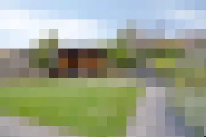 Valeriaanstraat 18 Heinkenszand thumbnail 36