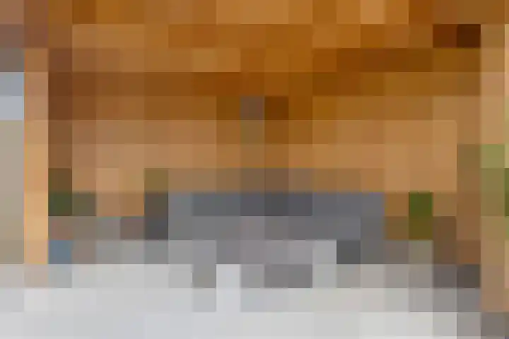 Valeriaanstraat 18 Heinkenszand thumbnail 37
