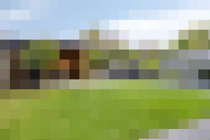 Valeriaanstraat 18 Heinkenszand thumbnail 40