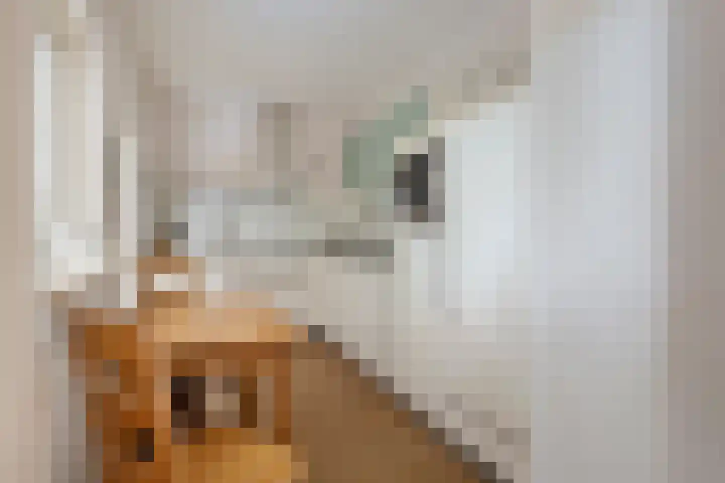 Valeriaanstraat 18 Terneuzen thumbnail 15