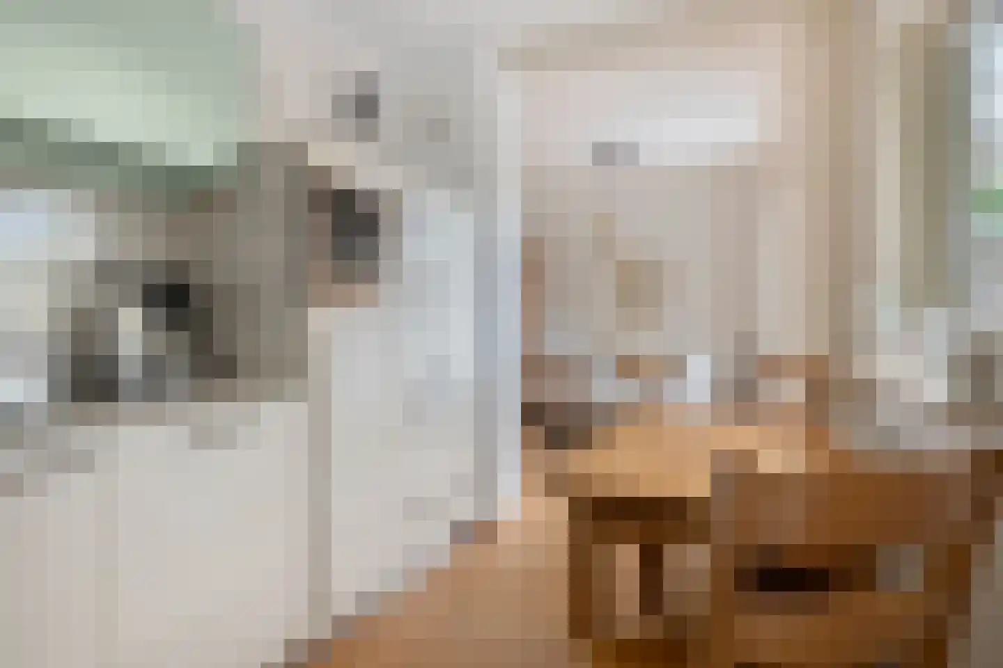 Valeriaanstraat 18 Terneuzen thumbnail 18