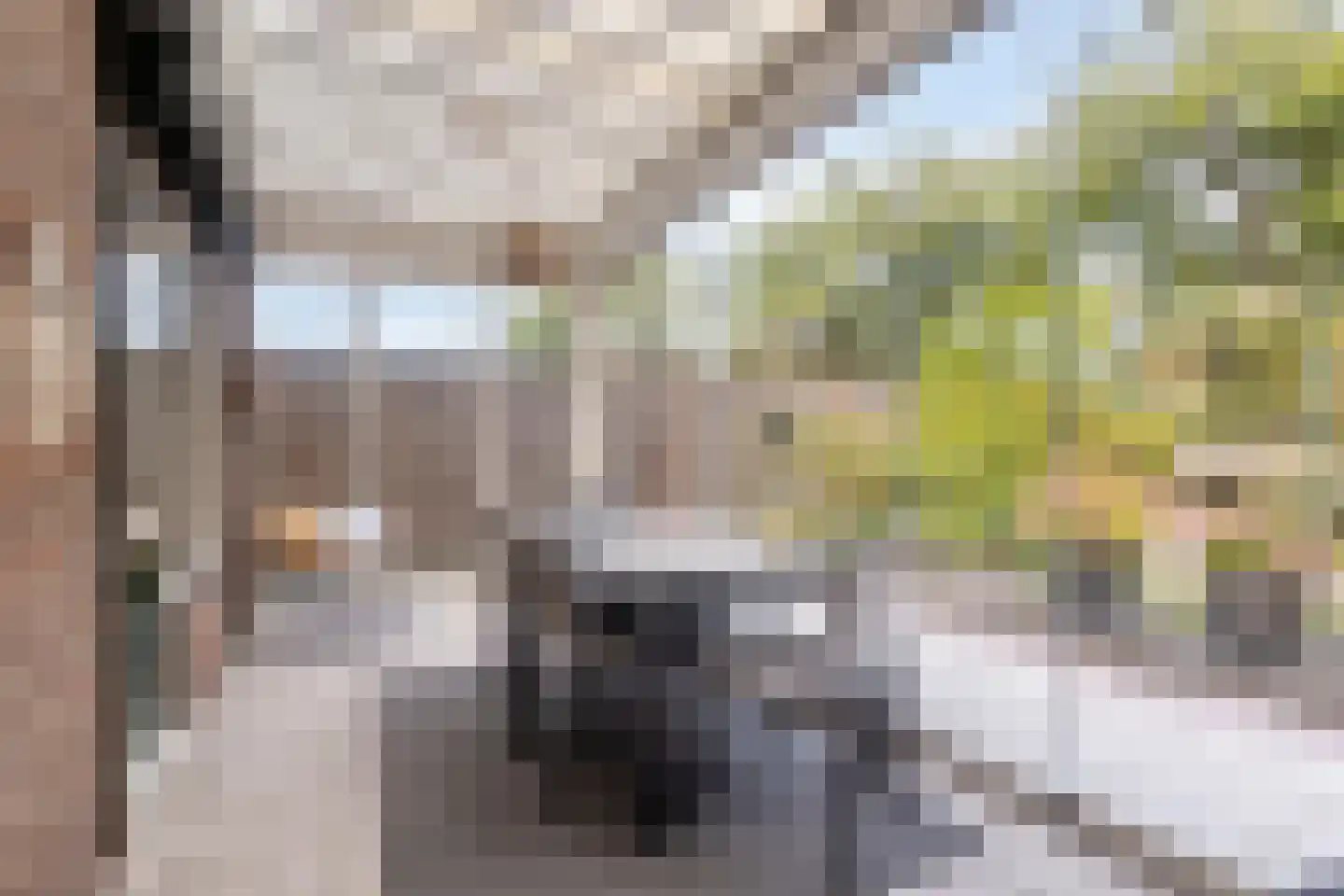 Valeriaanstraat 18 Terneuzen thumbnail 20