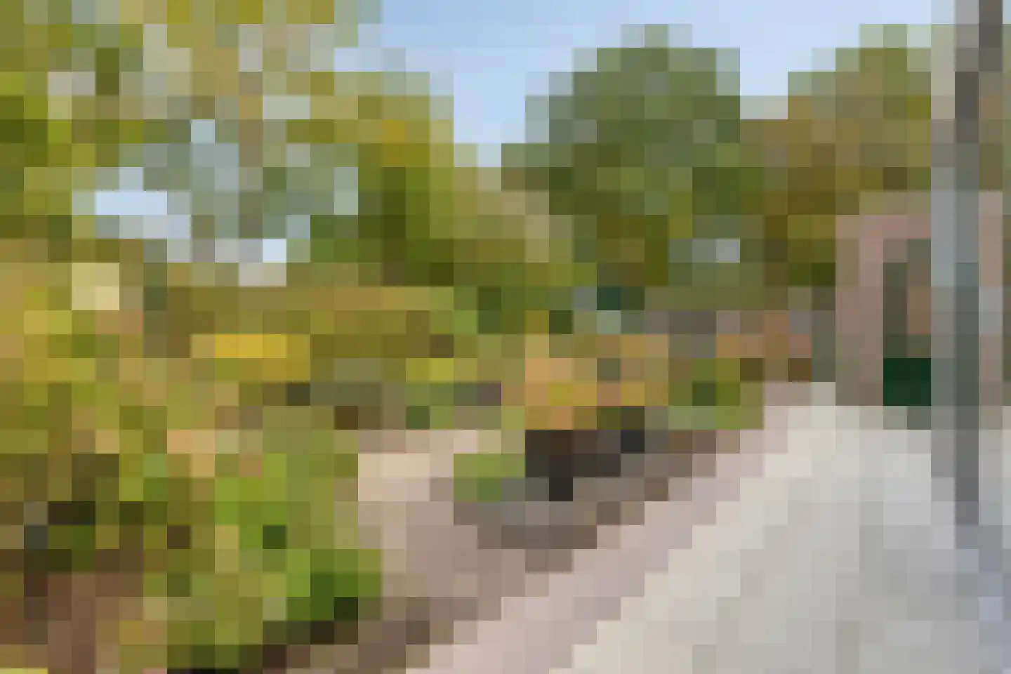 Valeriaanstraat 18 Terneuzen thumbnail 34