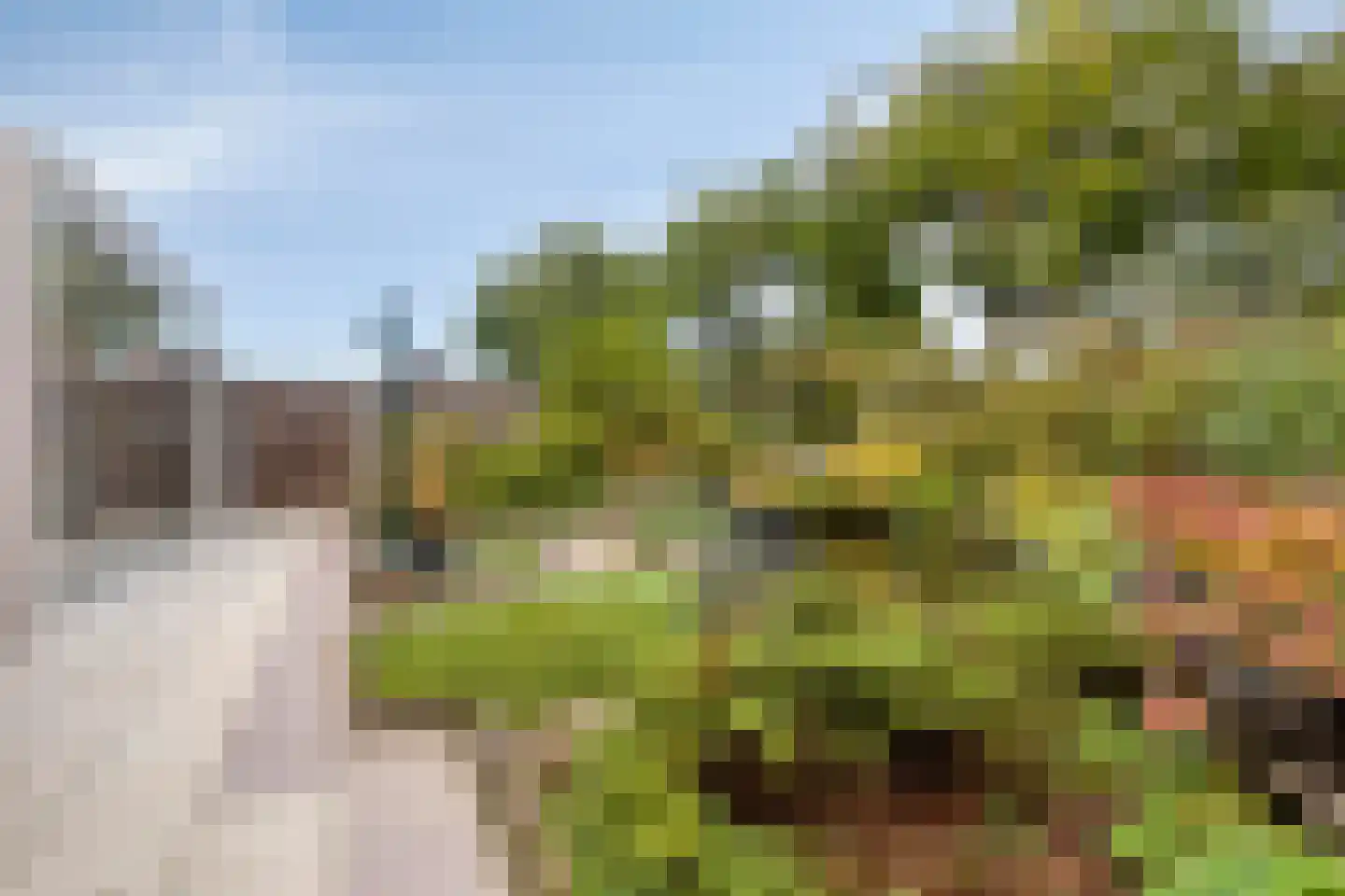 Valeriaanstraat 18 Terneuzen thumbnail 39