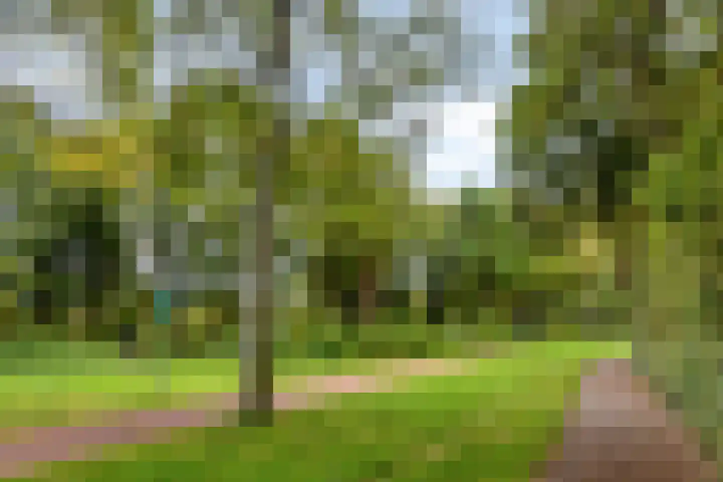 Valeriaanstraat 18 Terneuzen thumbnail 40