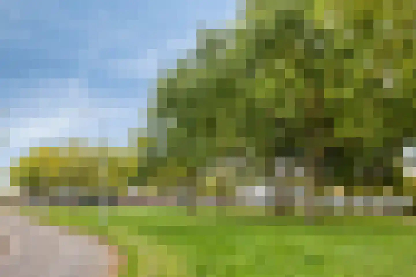 Valeriaanstraat 18 Terneuzen thumbnail 41