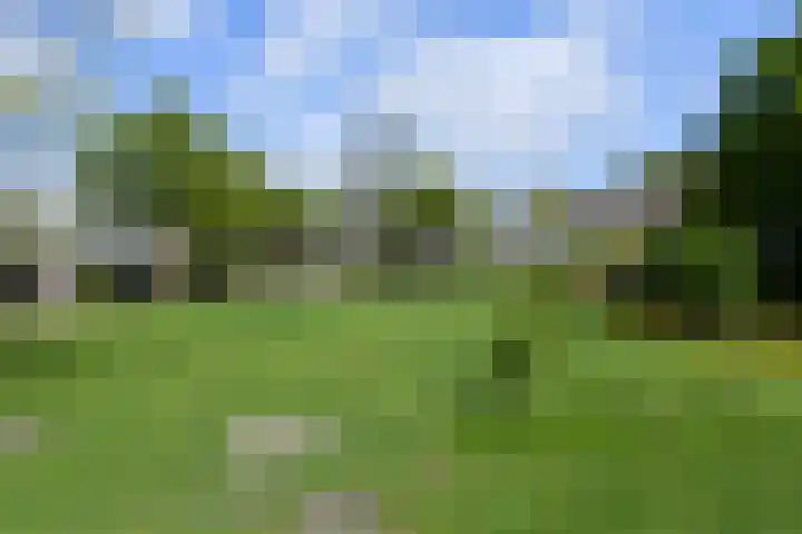 Valeriaanstraat 195 Soest thumbnail 33
