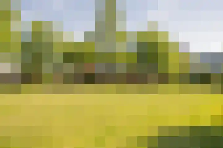 Valeriaanstraat 197 Soest thumbnail 33