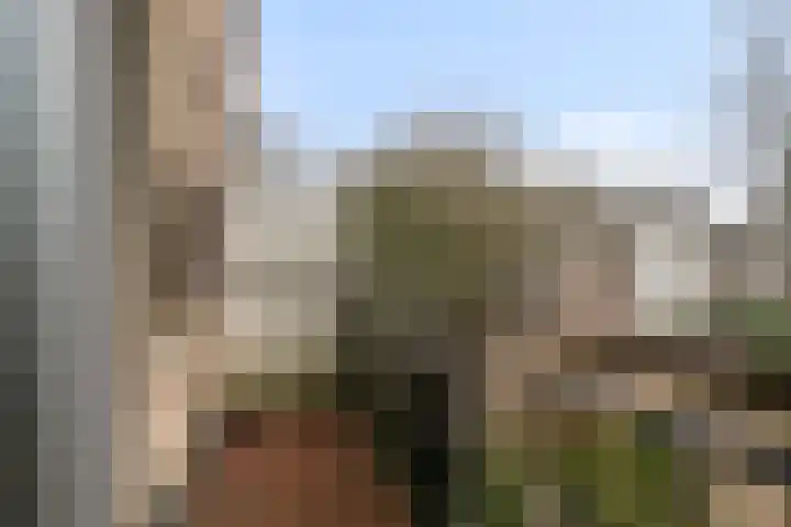 Valeriaanstraat 22 Soest thumbnail 21
