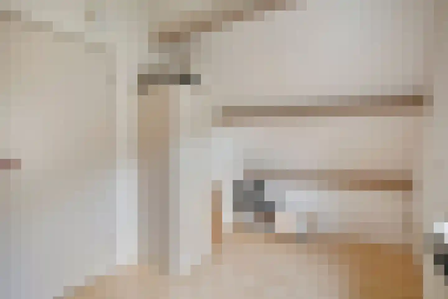 Valeriaanstraat 26 Terneuzen thumbnail 20