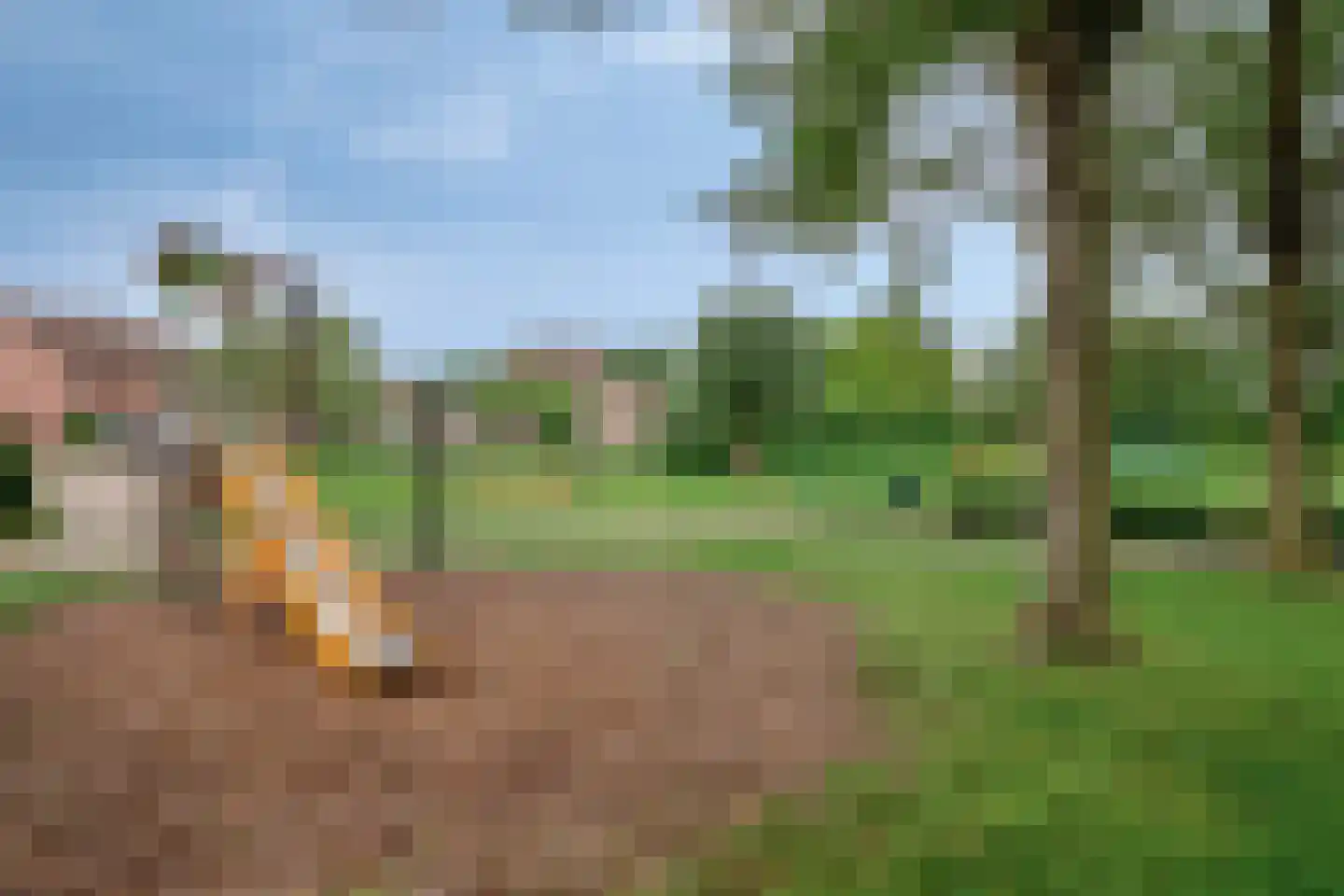 Valeriaanstraat 26 Terneuzen thumbnail 29