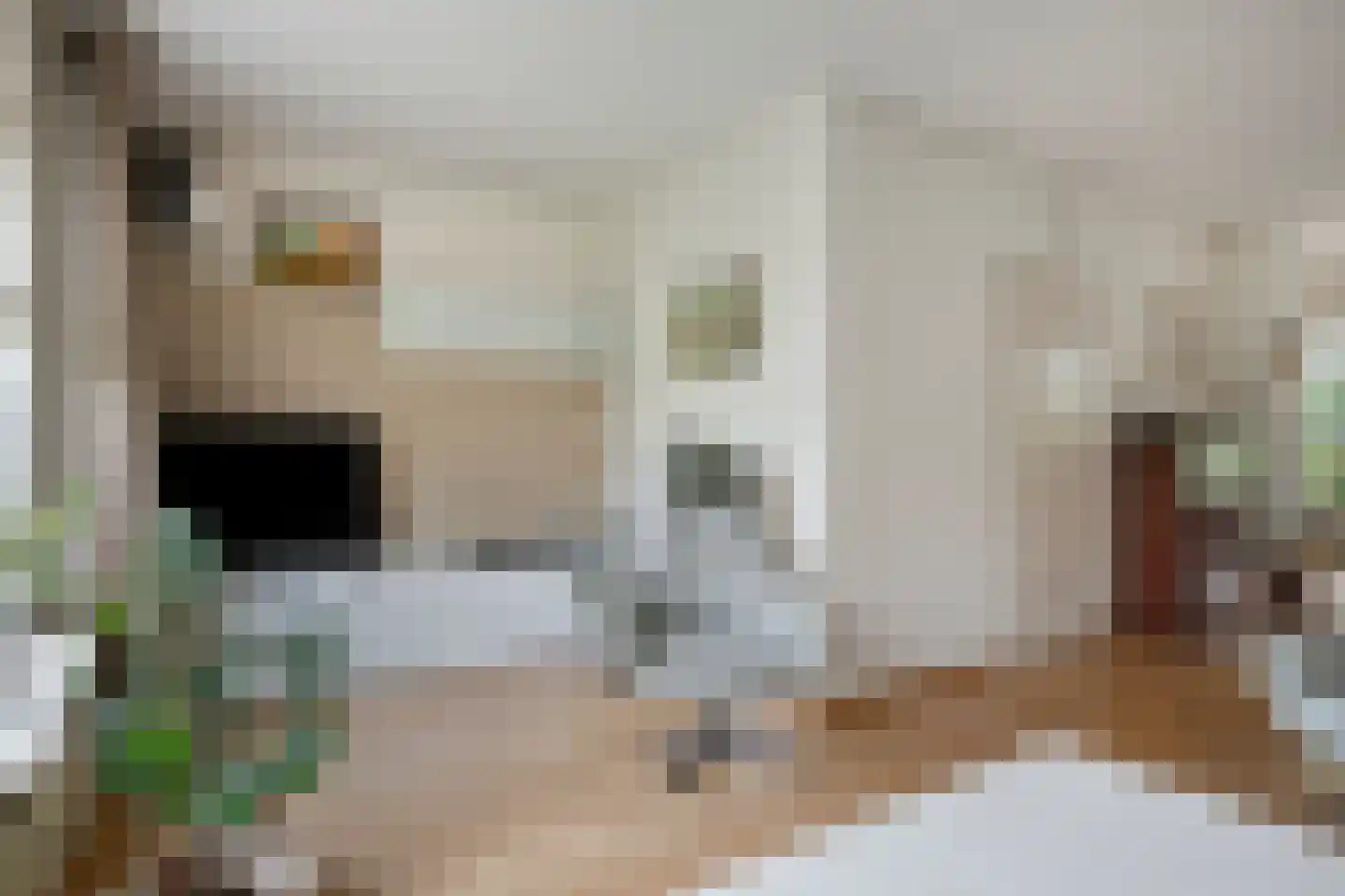 Valeriaanstraat 26 Terneuzen thumbnail 4