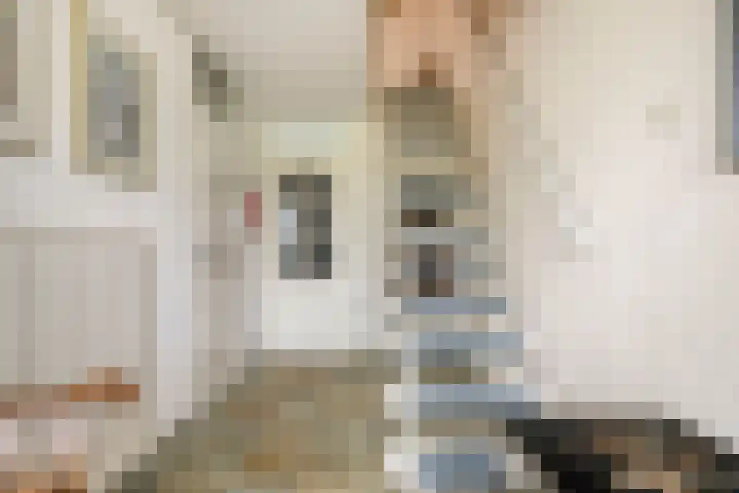 Valeriaanstraat 27 Soest thumbnail 8