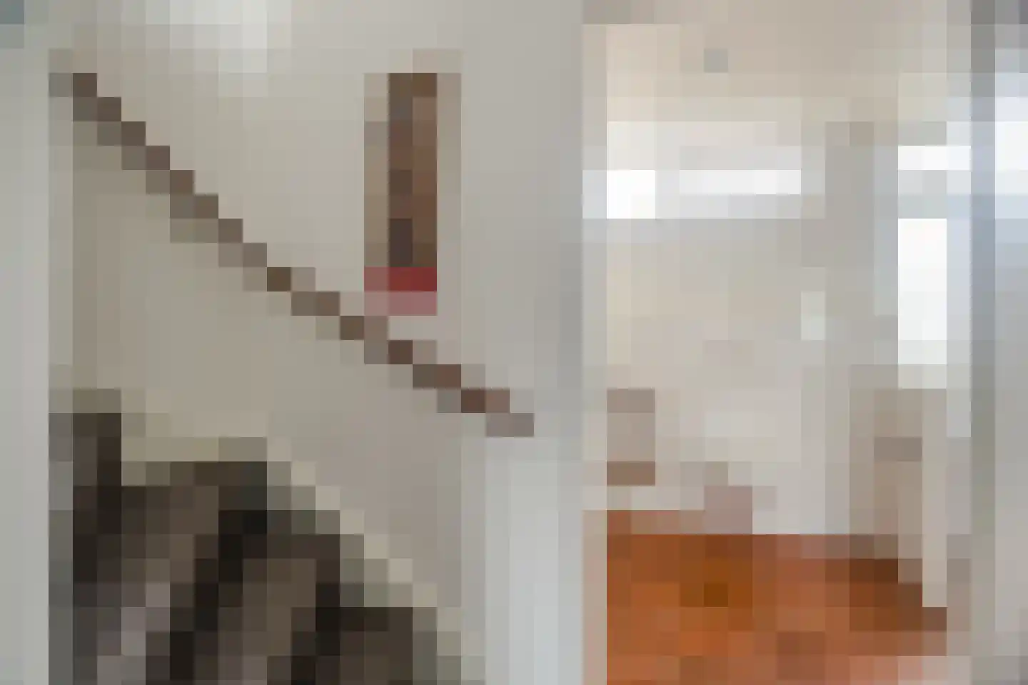 Valeriaanstraat 29 Almere thumbnail 33
