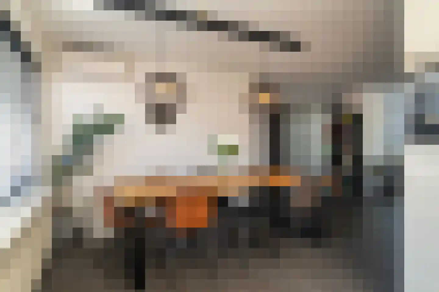Valeriaanstraat 31 Waalwijk thumbnail 11