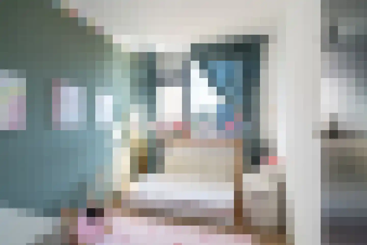 Valeriaanstraat 31 Waalwijk thumbnail 20
