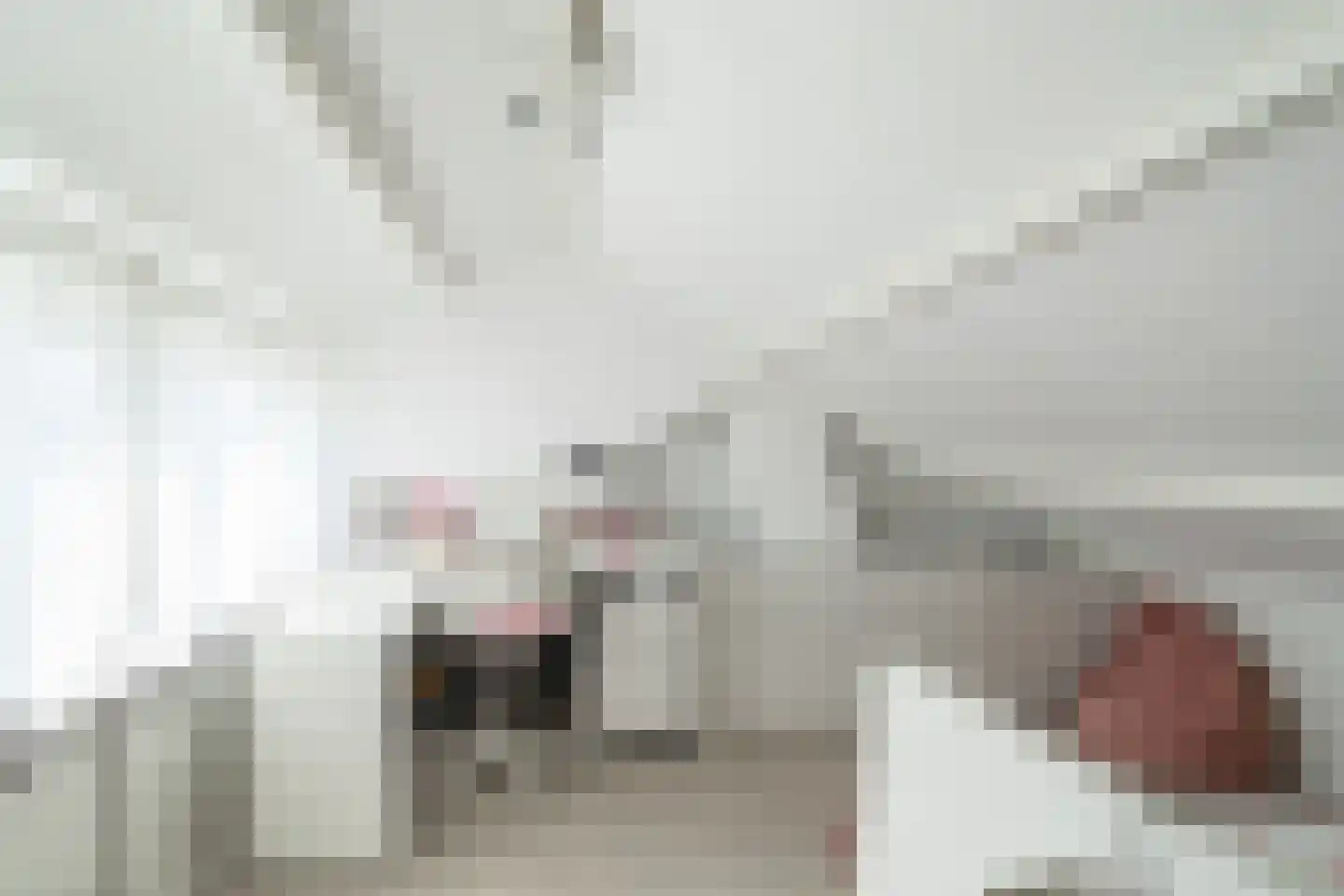 Valeriaanstraat 31 Waalwijk thumbnail 23