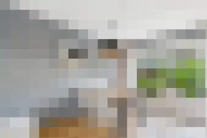 Valeriaanstraat 32 Terneuzen thumbnail 13