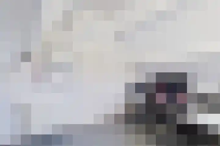 Valeriaanstraat 32 Terneuzen thumbnail 32