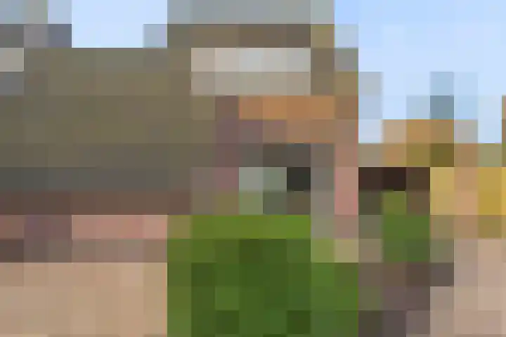 Valeriaanstraat 32 Terneuzen thumbnail 34