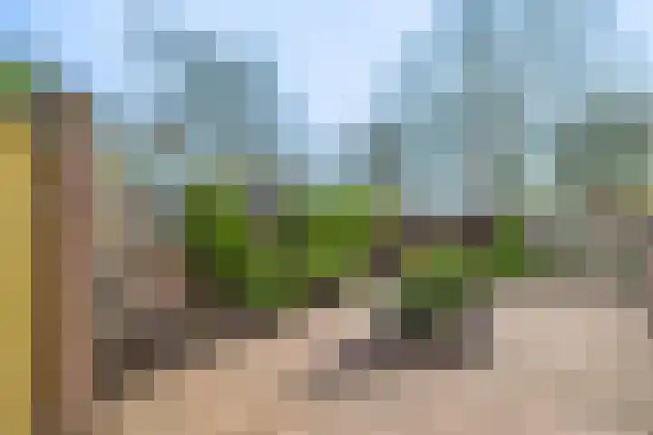 Valeriaanstraat 32 Terneuzen thumbnail 36