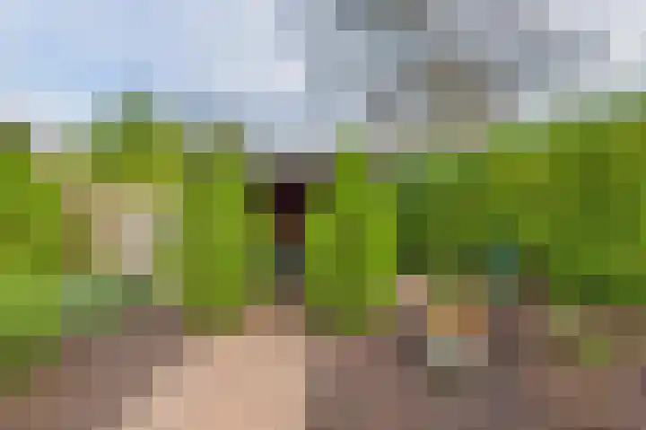 Valeriaanstraat 32 Terneuzen thumbnail 37