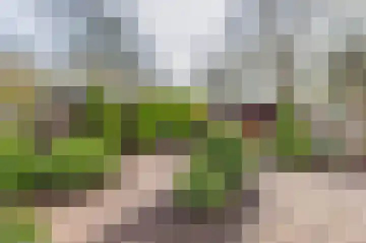 Valeriaanstraat 32 Terneuzen thumbnail 39