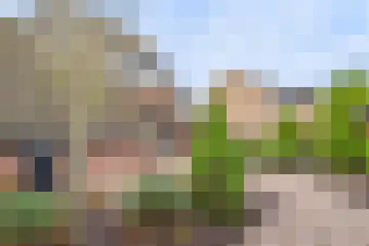 Valeriaanstraat 32 Terneuzen thumbnail 41