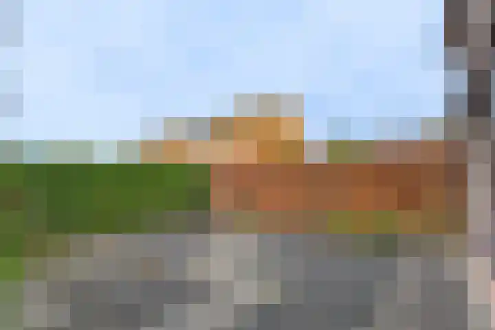 Valeriaanstraat 32 Terneuzen thumbnail 42