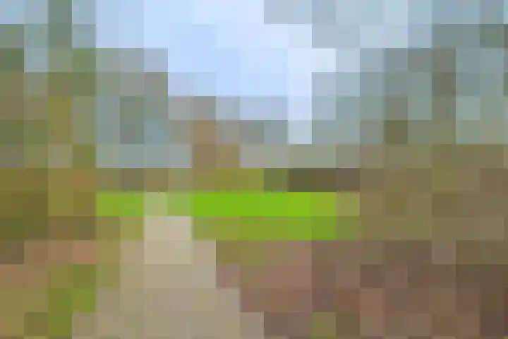 Valeriaanstraat 32 Terneuzen thumbnail 45