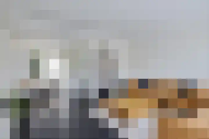 Valeriaanstraat 34 Soest thumbnail 18